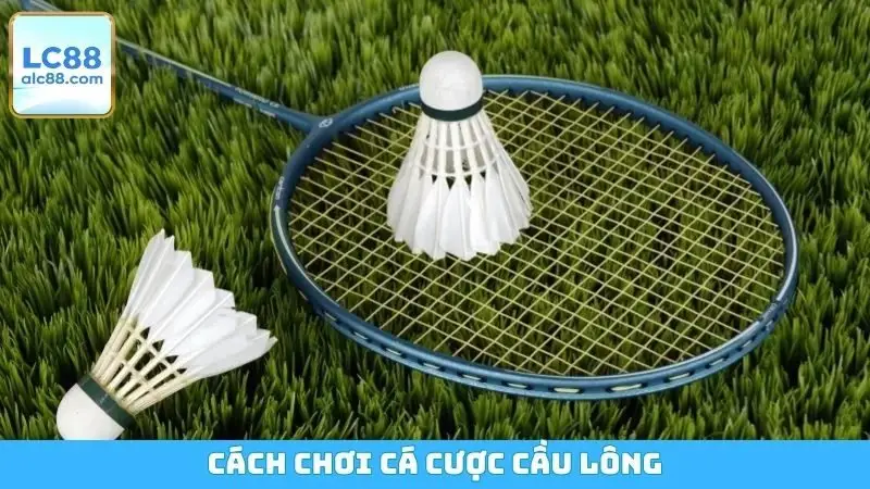 Cách Chơi Cá Cược Cầu Lông